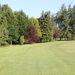 <Dogleg on 6th